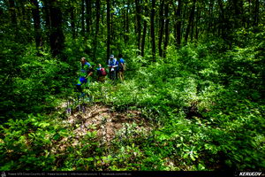 Trasee cu bicicleta MTB XC - Traseu SSP Bucuresti - Colibasi - Comana - Vlad Tepes - Gradistea - 1 Decembrie - Bucuresti (bujorul de padure in Parcul Natural Comana) de Andrei Vocurek
