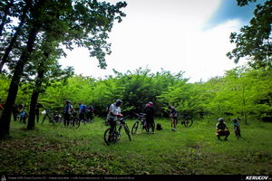 Trasee cu bicicleta MTB XC - Traseu SSP Bucuresti - Colibasi - Comana - Vlad Tepes - Gradistea - 1 Decembrie - Bucuresti (bujorul de padure in Parcul Natural Comana) de Andrei Vocurek
