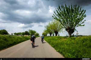 Trasee cu bicicleta MTB XC - Traseu SSP Bucuresti - Colibasi - Comana - Vlad Tepes - Gradistea - 1 Decembrie - Bucuresti (bujorul de padure in Parcul Natural Comana) de Andrei Vocurek