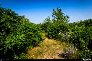Trasee cu bicicleta MTB XC - Traseu SSP Bucuresti - Jilava - 1 Decembrie - Adunatii-Copaceni - Bucuresti (popas pe malul Raului Arges) de Andrei Vocurek