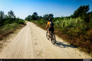 Trasee cu bicicleta MTB XC - Traseu SSP Bucuresti - Jilava - 1 Decembrie - Adunatii-Copaceni - Bucuresti (popas pe malul Raului Arges) de Andrei Vocurek