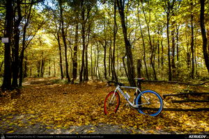Trasee cu bicicleta MTB XC - Traseu SSP Campina - Banesti - Urleta - Mislea - Cocorastii Mislii - Plopeni - Baicoi - Floresti de Andrei Vocurek