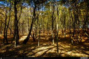 Trasee cu bicicleta MTB XC - Traseu SSP Campina - Banesti - Urleta - Mislea - Cocorastii Mislii - Plopeni - Baicoi - Floresti de Andrei Vocurek