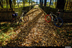 Trasee cu bicicleta MTB XC - Traseu SSP Campina - Banesti - Urleta - Mislea - Cocorastii Mislii - Plopeni - Baicoi - Floresti de Andrei Vocurek
