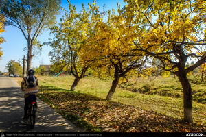 Trasee cu bicicleta MTB XC - Traseu SSP Campina - Banesti - Urleta - Mislea - Cocorastii Mislii - Plopeni - Baicoi - Floresti de Andrei Vocurek