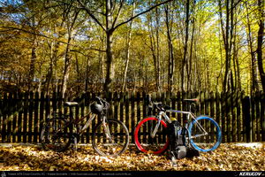 Trasee cu bicicleta MTB XC - Traseu SSP Campina - Banesti - Urleta - Mislea - Cocorastii Mislii - Plopeni - Baicoi - Floresti de Andrei Vocurek
