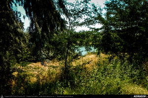 Trasee cu bicicleta MTB XC - Traseu SSP Constanta - Palazu Mare - Ovidiu - Lumina - Navodari - Mamaia - Constanta (turul lacului Siutghiol) de Andrei Vocurek