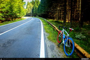 Trasee cu bicicleta MTB XC - Traseu SSP Maneciu-Ungureni - Cheia - Muntele Rosu - Cheia - Maneciu (3 zile) de Andrei Vocurek