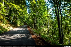 Trasee cu bicicleta MTB XC - Traseu SSP Maneciu-Ungureni - Cheia - Muntele Rosu - Cheia - Maneciu (3 zile) de Andrei Vocurek
