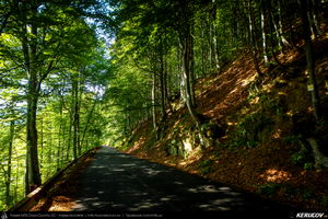 Trasee cu bicicleta MTB XC - Traseu SSP Maneciu-Ungureni - Cheia - Muntele Rosu - Cheia - Maneciu (3 zile) de Andrei Vocurek