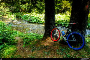 Trasee cu bicicleta MTB XC - Traseu SSP Maneciu-Ungureni - Cheia - Muntele Rosu - Cheia - Maneciu (3 zile) de Andrei Vocurek