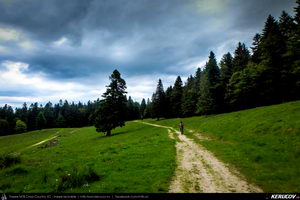 Trasee cu bicicleta MTB XC - Traseu SSP Predeal - Cabana Trei Brazi - Cabana Poiana Secuilor - Predeal de Andrei Vocurek