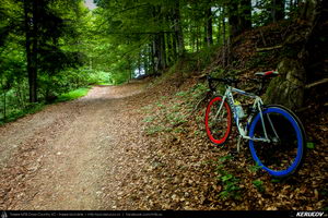 Trasee cu bicicleta MTB XC - Traseu SSP Predeal - Cabana Trei Brazi - Cabana Poiana Secuilor - Predeal de Andrei Vocurek