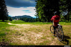 Trasee cu bicicleta MTB XC - Traseu SSP Predeal - Cabana Trei Brazi - Cabana Poiana Secuilor - Predeal de Andrei Vocurek