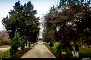 Trasee cu bicicleta MTB XC - Traseu SSP Bucuresti - Chiajna - Sabareni - Ulmi - Stoenesti - Floresti - Bolintin-Vale - Gradinari - Darvari - Domnesti - Bucuresti de Andrei Vocurek