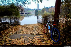 Trasee cu bicicleta MTB XC - Traseu SSP Bucuresti - Chiajna - Sabareni - Ulmi - Stoenesti - Floresti - Bolintin-Vale - Gradinari - Darvari - Domnesti - Bucuresti de Andrei Vocurek