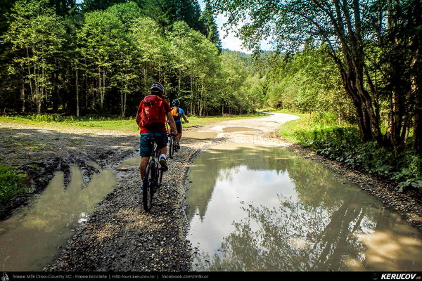 Traseu cu bicicleta MTB XC Muntii Baiului: Azuga - Valea Azugii - Pasul Azuga - Valea Garcinului - Sacele - Brasov - KERUCOV .ro © 2007 - 2025 || #traseecubicicleta #mtb #ssp