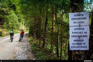 Trasee cu bicicleta MTB XC - Traseu MTB Muntii Baiului: Azuga - Valea Azugii - Pasul Azuga - Valea Garcinului - Sacele - Brasov de Andrei Vocurek
