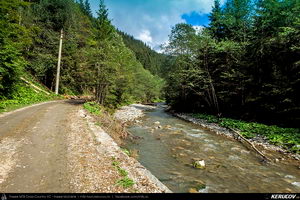 Trasee cu bicicleta MTB XC - Traseu MTB Muntii Baiului: Azuga - Valea Azugii - Pasul Azuga - Valea Garcinului - Sacele - Brasov de Andrei Vocurek