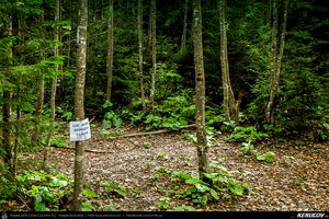 Trasee cu bicicleta MTB XC - Traseu MTB Muntii Baiului: Azuga - Valea Azugii - Pasul Azuga - Valea Garcinului - Sacele - Brasov de Andrei Vocurek