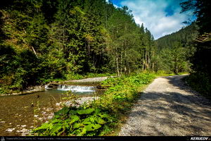 Trasee cu bicicleta MTB XC - Traseu MTB Muntii Baiului: Azuga - Valea Azugii - Pasul Azuga - Valea Garcinului - Sacele - Brasov de Andrei Vocurek