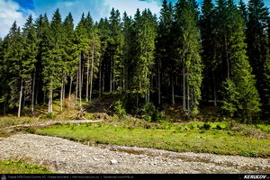 Trasee cu bicicleta MTB XC - Traseu MTB Muntii Baiului: Azuga - Valea Azugii - Pasul Azuga - Valea Garcinului - Sacele - Brasov de Andrei Vocurek