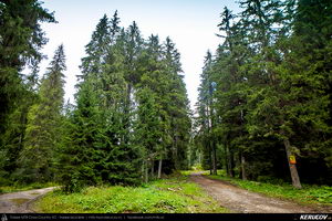 Trasee cu bicicleta MTB XC - Traseu MTB Muntii Baiului: Azuga - Valea Azugii - Pasul Azuga - Valea Garcinului - Sacele - Brasov de Andrei Vocurek