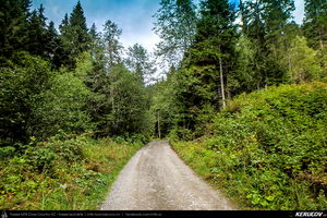 Trasee cu bicicleta MTB XC - Traseu MTB Muntii Baiului: Azuga - Valea Azugii - Pasul Azuga - Valea Garcinului - Sacele - Brasov de Andrei Vocurek