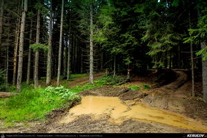 Trasee cu bicicleta MTB XC - Traseu MTB Muntii Baiului: Azuga - Valea Azugii - Pasul Azuga - Valea Garcinului - Sacele - Brasov de Andrei Vocurek