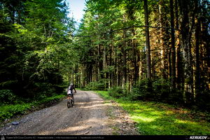Trasee cu bicicleta MTB XC - Traseu MTB Muntii Baiului: Azuga - Valea Azugii - Pasul Azuga - Valea Garcinului - Sacele - Brasov de Andrei Vocurek