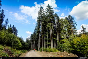 Trasee cu bicicleta MTB XC - Traseu MTB Muntii Baiului: Azuga - Valea Azugii - Pasul Azuga - Valea Garcinului - Sacele - Brasov de Andrei Vocurek