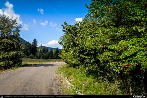 Trasee cu bicicleta MTB XC - Traseu MTB Muntii Baiului: Azuga - Valea Azugii - Pasul Azuga - Valea Garcinului - Sacele - Brasov de Andrei Vocurek