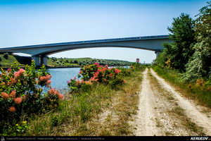 Trasee cu bicicleta MTB XC - Traseu MTB Medgidia - Poarta Alba - Murfatlar - Straja - Baraganu - Lanurile - Ciocarlia - Valea Dacilor - Medgidia (Canalul Dunare - Marea Neagra - Monumentul Tineretului de la Straja) de Andrei Vocurek