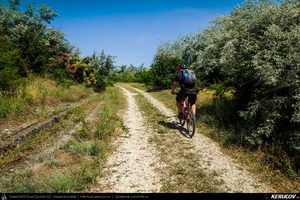 Trasee cu bicicleta MTB XC - Traseu MTB Medgidia - Poarta Alba - Murfatlar - Straja - Baraganu - Lanurile - Ciocarlia - Valea Dacilor - Medgidia (Canalul Dunare - Marea Neagra - Monumentul Tineretului de la Straja) de Andrei Vocurek