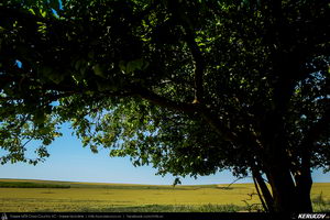 Trasee cu bicicleta MTB XC - Traseu MTB Medgidia - Poarta Alba - Murfatlar - Straja - Baraganu - Lanurile - Ciocarlia - Valea Dacilor - Medgidia (Canalul Dunare - Marea Neagra - Monumentul Tineretului de la Straja) de Andrei Vocurek