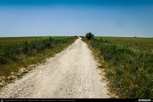 Trasee cu bicicleta MTB XC - Traseu MTB Medgidia - Poarta Alba - Murfatlar - Straja - Baraganu - Lanurile - Ciocarlia - Valea Dacilor - Medgidia (Canalul Dunare - Marea Neagra - Monumentul Tineretului de la Straja) de Andrei Vocurek