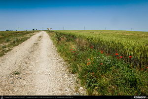 Trasee cu bicicleta MTB XC - Traseu MTB Medgidia - Poarta Alba - Murfatlar - Straja - Baraganu - Lanurile - Ciocarlia - Valea Dacilor - Medgidia (Canalul Dunare - Marea Neagra - Monumentul Tineretului de la Straja) de Andrei Vocurek