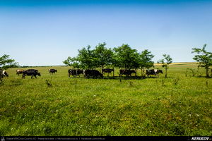 Trasee cu bicicleta MTB XC - Traseu MTB Medgidia - Poarta Alba - Murfatlar - Straja - Baraganu - Lanurile - Ciocarlia - Valea Dacilor - Medgidia (Canalul Dunare - Marea Neagra - Monumentul Tineretului de la Straja) de Andrei Vocurek