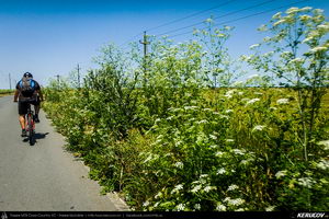 Trasee cu bicicleta MTB XC - Traseu MTB Medgidia - Poarta Alba - Murfatlar - Straja - Baraganu - Lanurile - Ciocarlia - Valea Dacilor - Medgidia (Canalul Dunare - Marea Neagra - Monumentul Tineretului de la Straja) de Andrei Vocurek