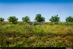 Trasee cu bicicleta MTB XC - Traseu MTB Medgidia - Poarta Alba - Murfatlar - Straja - Baraganu - Lanurile - Ciocarlia - Valea Dacilor - Medgidia (Canalul Dunare - Marea Neagra - Monumentul Tineretului de la Straja) de Andrei Vocurek
