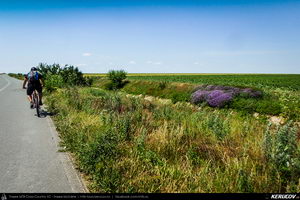 Trasee cu bicicleta MTB XC - Traseu MTB Medgidia - Poarta Alba - Murfatlar - Straja - Baraganu - Lanurile - Ciocarlia - Valea Dacilor - Medgidia (Canalul Dunare - Marea Neagra - Monumentul Tineretului de la Straja) de Andrei Vocurek