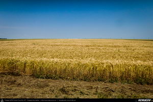 Trasee cu bicicleta MTB XC - Traseu MTB Medgidia - Poarta Alba - Murfatlar - Straja - Baraganu - Lanurile - Ciocarlia - Valea Dacilor - Medgidia (Canalul Dunare - Marea Neagra - Monumentul Tineretului de la Straja) de Andrei Vocurek