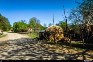 Trasee cu bicicleta MTB XC - Traseu MTB Pitesti - Argeselu - Jupanesti - Retevoiesti - Domnesti - Corbi - Jgheaburi - Pitesti (Biserica de lemn din Jupanesti, Manastirea Corbii de Piatra, Cula Druganescu, Vila Micescu) de Andrei Vocurek
