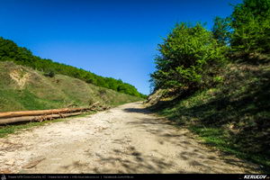 Trasee cu bicicleta MTB XC - Traseu MTB Pitesti - Argeselu - Jupanesti - Retevoiesti - Domnesti - Corbi - Jgheaburi - Pitesti (Biserica de lemn din Jupanesti, Manastirea Corbii de Piatra, Cula Druganescu, Vila Micescu) de Andrei Vocurek