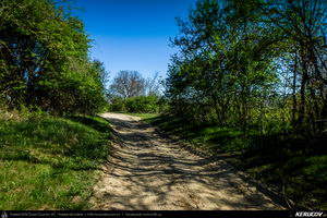 Trasee cu bicicleta MTB XC - Traseu MTB Pitesti - Argeselu - Jupanesti - Retevoiesti - Domnesti - Corbi - Jgheaburi - Pitesti (Biserica de lemn din Jupanesti, Manastirea Corbii de Piatra, Cula Druganescu, Vila Micescu) de Andrei Vocurek