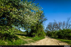 Trasee cu bicicleta MTB XC - Traseu MTB Pitesti - Argeselu - Jupanesti - Retevoiesti - Domnesti - Corbi - Jgheaburi - Pitesti (Biserica de lemn din Jupanesti, Manastirea Corbii de Piatra, Cula Druganescu, Vila Micescu) de Andrei Vocurek