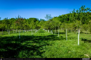 Trasee cu bicicleta MTB XC - Traseu MTB Pitesti - Argeselu - Jupanesti - Retevoiesti - Domnesti - Corbi - Jgheaburi - Pitesti (Biserica de lemn din Jupanesti, Manastirea Corbii de Piatra, Cula Druganescu, Vila Micescu) de Andrei Vocurek