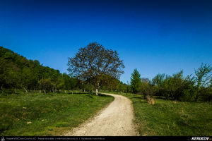 Trasee cu bicicleta MTB XC - Traseu MTB Pitesti - Argeselu - Jupanesti - Retevoiesti - Domnesti - Corbi - Jgheaburi - Pitesti (Biserica de lemn din Jupanesti, Manastirea Corbii de Piatra, Cula Druganescu, Vila Micescu) de Andrei Vocurek