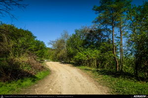 Trasee cu bicicleta MTB XC - Traseu MTB Pitesti - Argeselu - Jupanesti - Retevoiesti - Domnesti - Corbi - Jgheaburi - Pitesti (Biserica de lemn din Jupanesti, Manastirea Corbii de Piatra, Cula Druganescu, Vila Micescu) de Andrei Vocurek