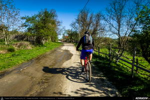 Trasee cu bicicleta MTB XC - Traseu MTB Pitesti - Argeselu - Jupanesti - Retevoiesti - Domnesti - Corbi - Jgheaburi - Pitesti (Biserica de lemn din Jupanesti, Manastirea Corbii de Piatra, Cula Druganescu, Vila Micescu) de Andrei Vocurek